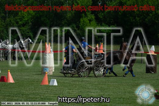 Mintakép 20260531-3053
