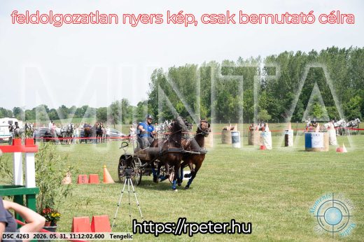 Mintakép 20260531-3055