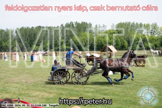 Mintakép 20260531-3058
