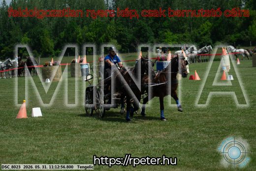 Mintakép 20260531-3070