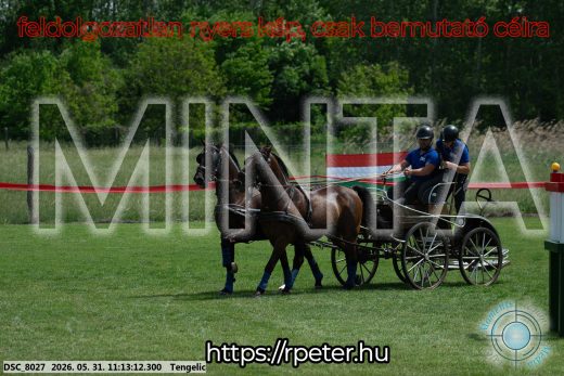 Mintakép 20260531-3073