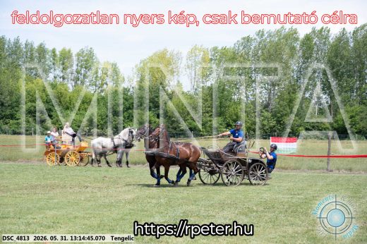 Mintakép 20260531-3081