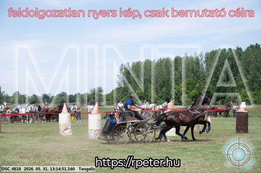 Mintakép 20260531-3086