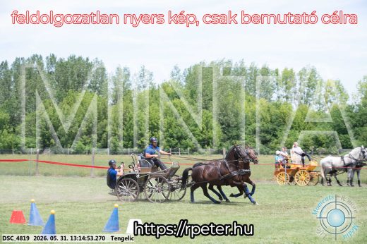 Mintakép 20260531-3087