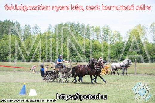 Mintakép 20260531-3088