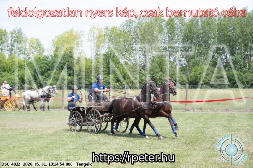 Mintakép 20260531-3089