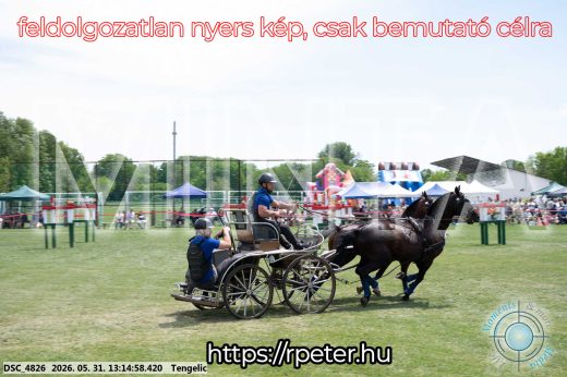Mintakép 20260531-3092
