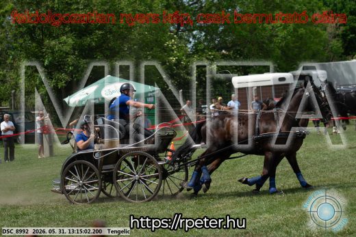 Mintakép 20260531-3097