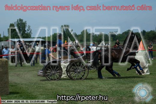 Mintakép 20260531-3099