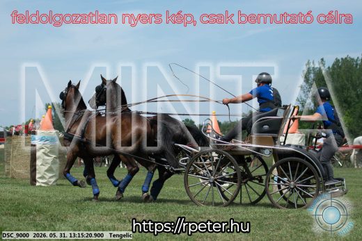 Mintakép 20260531-3103