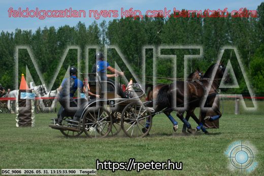 Mintakép 20260531-3106