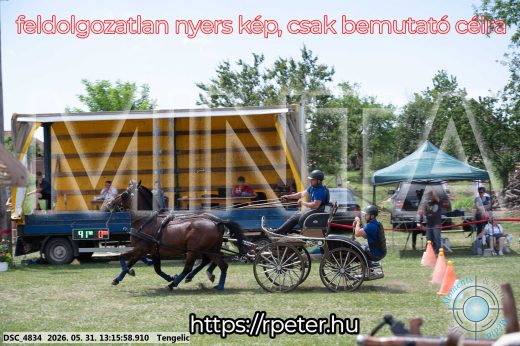 Mintakép 20260531-3107