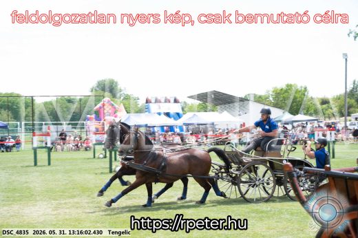 Mintakép 20260531-3108