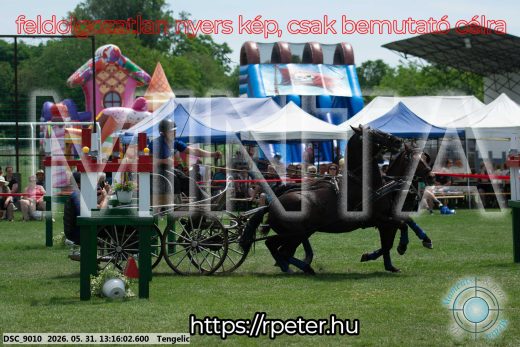 Mintakép 20260531-3110