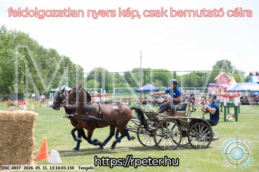 Mintakép 20260531-3111