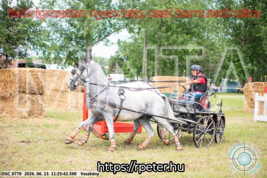 Mintakép 20260613-367