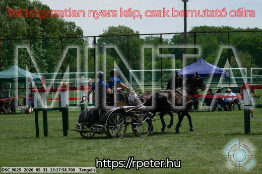 Mintakép 20260531-3123