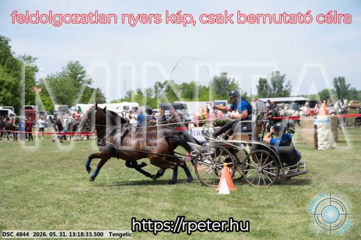 Mintakép 20260531-3128