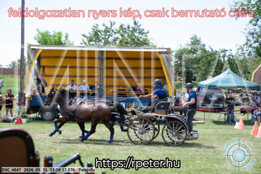Mintakép 20260531-3130