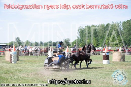 Mintakép 20260531-3136