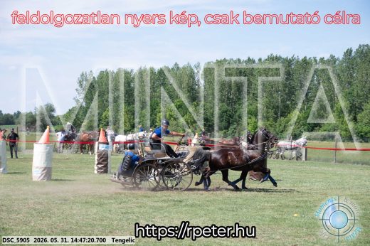 Mintakép 20260531-3138