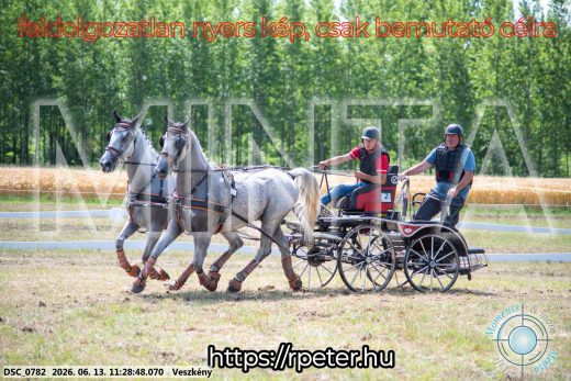 Mintakép 20260613-369