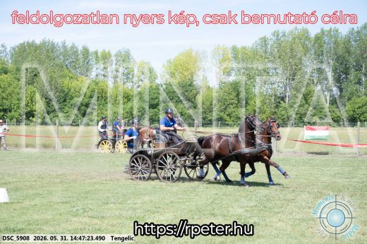 Mintakép 20260531-3141