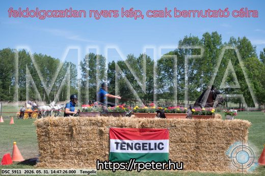 Mintakép 20260531-3143