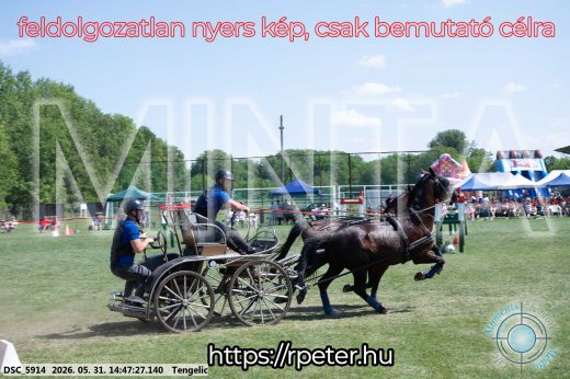 Mintakép 20260531-3145
