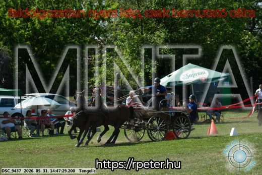 Mintakép 20260531-3148