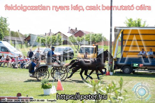 Mintakép 20260531-3149