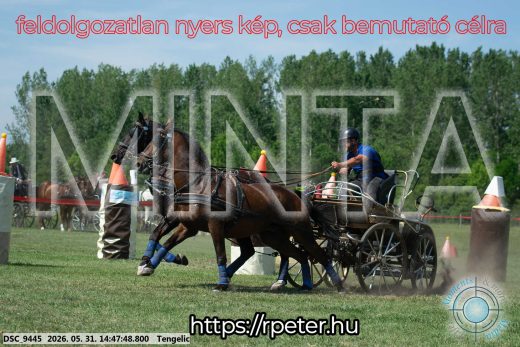 Mintakép 20260531-3152