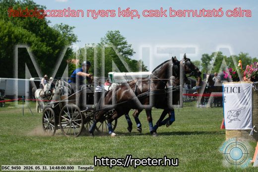 Mintakép 20260531-3155