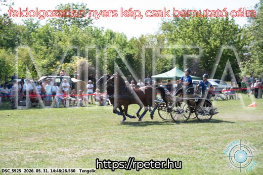 Mintakép 20260531-3158