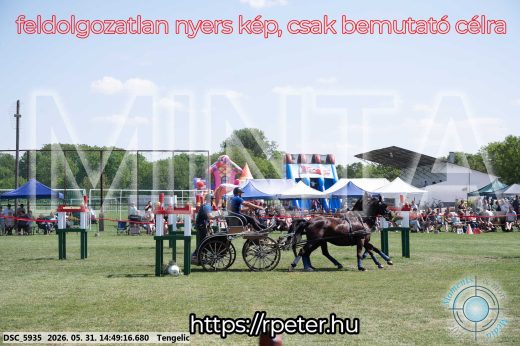 Mintakép 20260531-3164