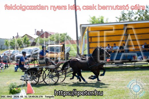 Mintakép 20260531-3165