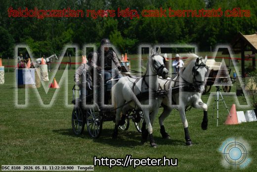 Mintakép 20260531-3170