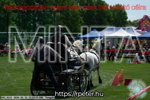 Mintakép 20260531-3173