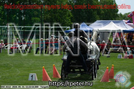 Mintakép 20260531-3174