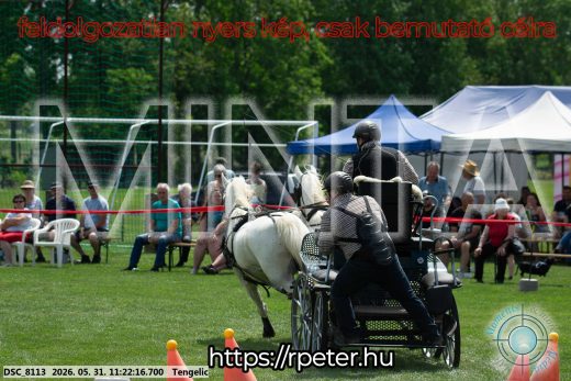 Mintakép 20260531-3175