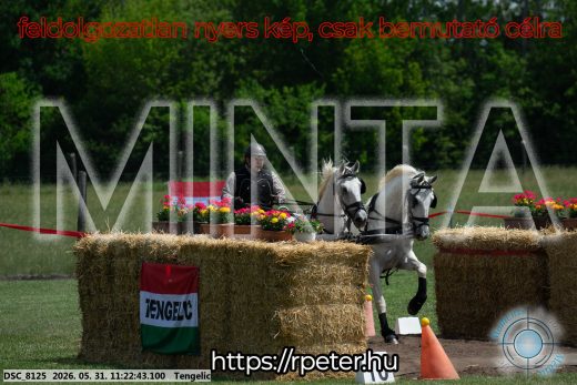 Mintakép 20260531-3183