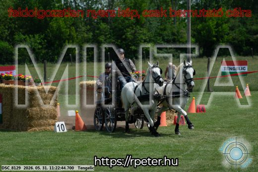 Mintakép 20260531-3185