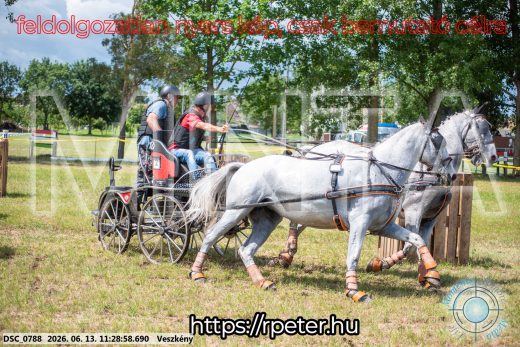 Mintakép 20260613-375