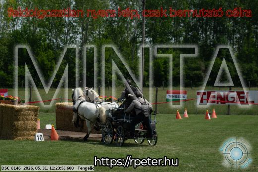 Mintakép 20260531-3201