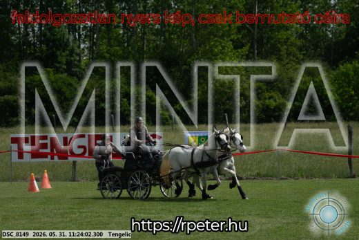 Mintakép 20260531-3204