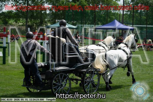 Mintakép 20260531-3206