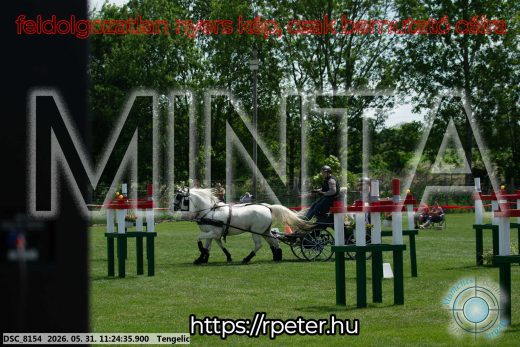 Mintakép 20260531-3207