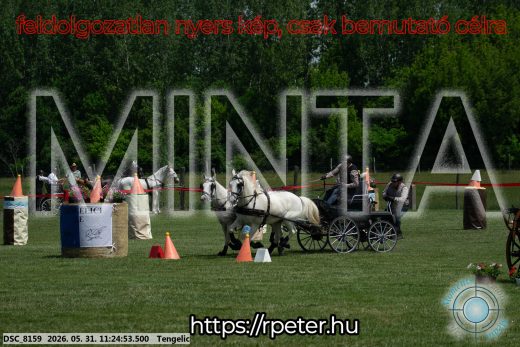 Mintakép 20260531-3212