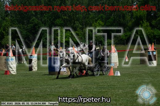 Mintakép 20260531-3214