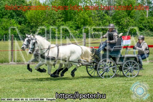 Mintakép 20260531-3227